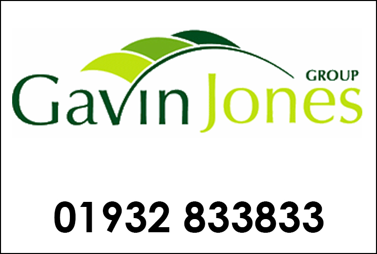 Gavin Jones